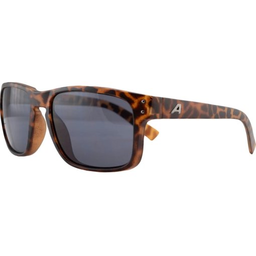 Productfoto van Alpina Kosmic Brillen - havana matt/black