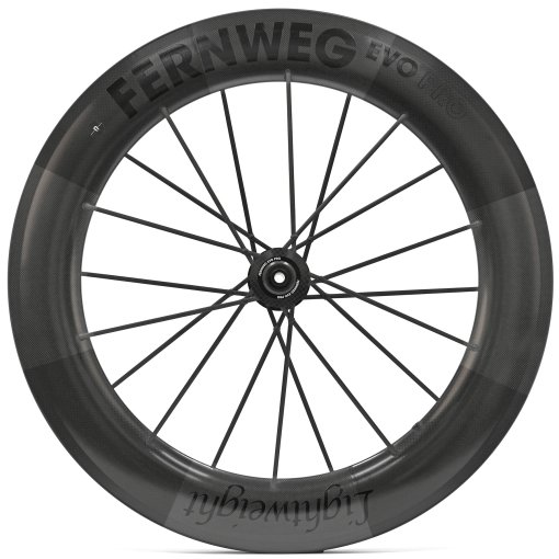 パーツ Lightweight Fernweg evo Schwarz Edition Lightweight Fernweg Evo Pro 85 Laufradsatz - 28
