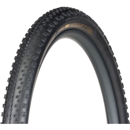 Productfoto van Bontrager Vallnord RSL XR TLR MTB vouwband - 29x2.4&quot;