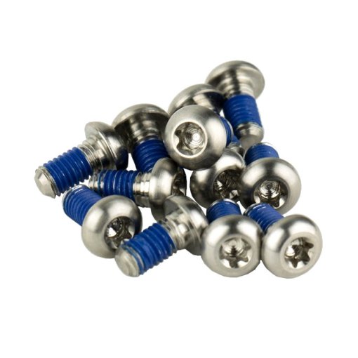 Foto de SRAM Rotor Bolt Set - 12pcs. - Titanium - silver