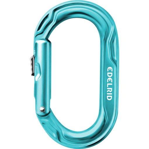 Immagine prodotto da Edelrid Kiwi Slider Moschettone - icemint