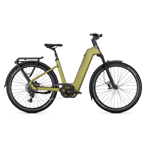 ENTICE 5+ MOVE - Bicicletta elettrica con accesso facilitato - 2027 - 29" - meadow green / dark meadow green matt