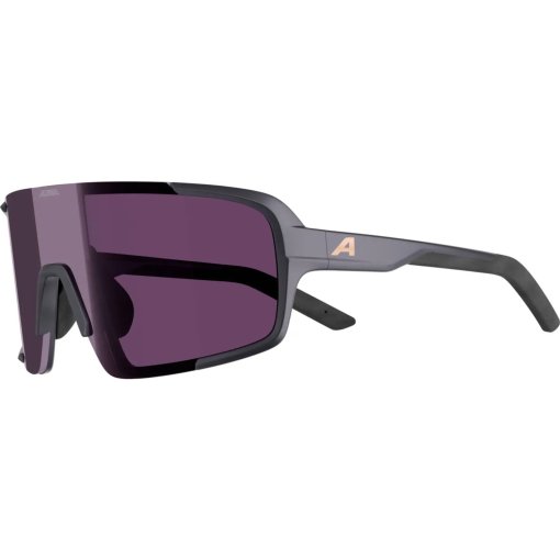 Foto de Alpina Lumin Gafas - gun-metall matt/pink