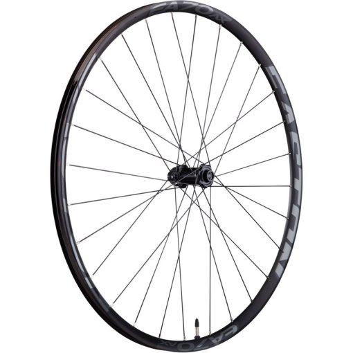 Immagine prodotto da Easton EA70 AX Disc 28&quot; Front Wheel - Clincher - Centerlock - 15x100mm/QR