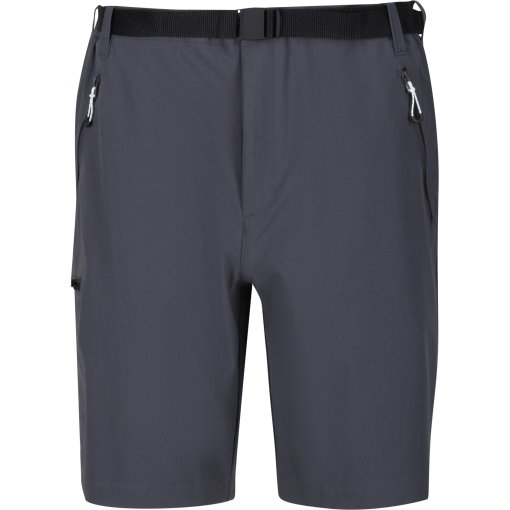 Foto de Regatta Pantalones Cortos Hombre - Xert Stretch III - Seal Grey 038