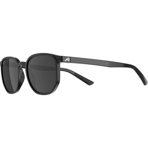 Foto de Alpina Dimont Gafas - black gloss/black