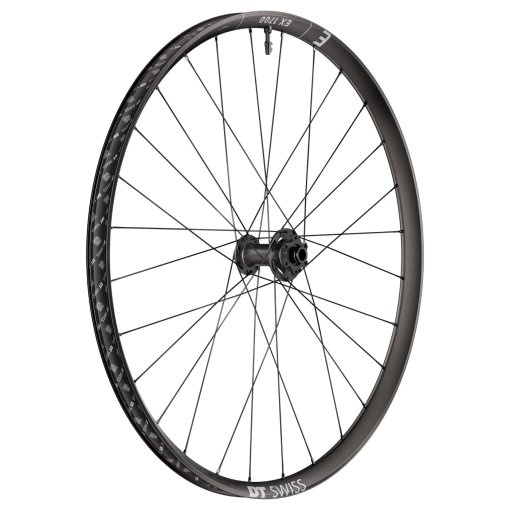 Productfoto van DT Swiss EX 1700 CLASSIC Voorwiel - 29&quot; | 6 Gaten | 15x110mm Boost