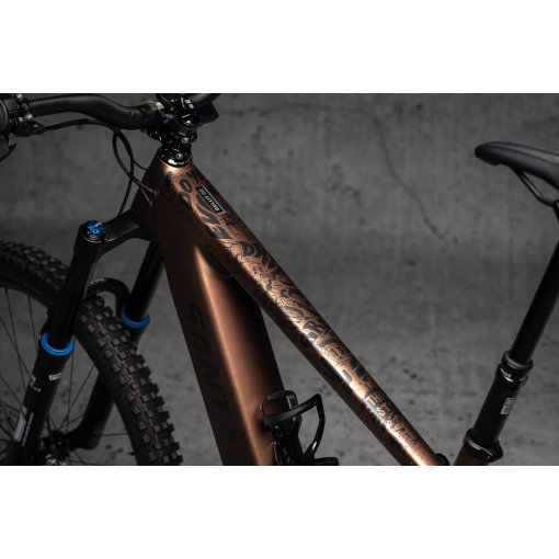 Immagine prodotto da DYEDBRO Pellicola Protezione del Telaio Flour Bicicletta Elettrica - nero