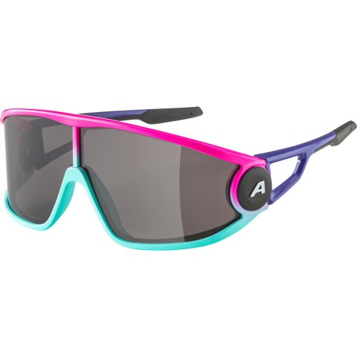 Foto de Alpina Gafas - Legend - purple gloss/black
