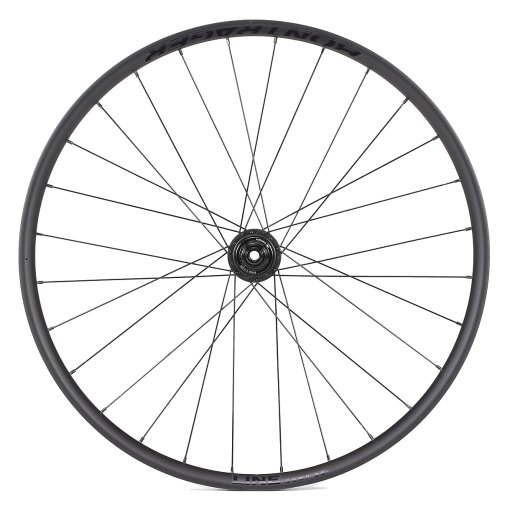 Bontrager Line Comp 30 TLR Rear Wheel - 29 Inch - 6-Bolt