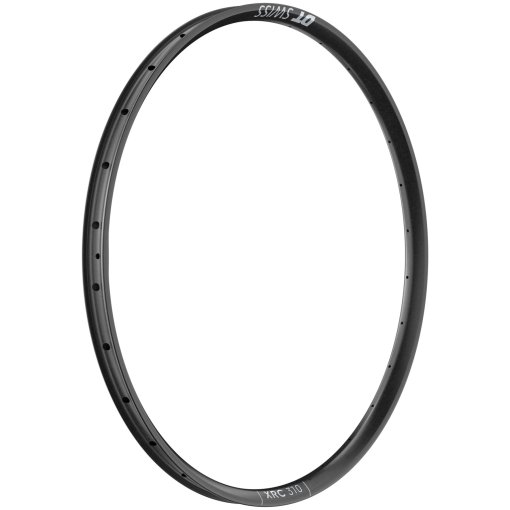 Immagine prodotto da DT Swiss Cerchio - XRC 310 - 29&quot; | Carbon | Hookless | Disc