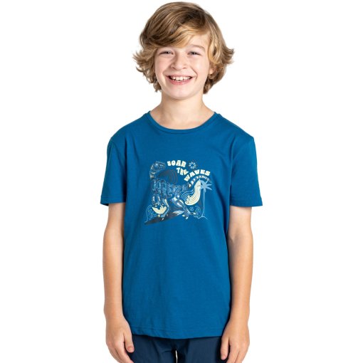 Foto de Dare 2b Camiseta Niños - Trailblaze II - G29 Blue Sapphire