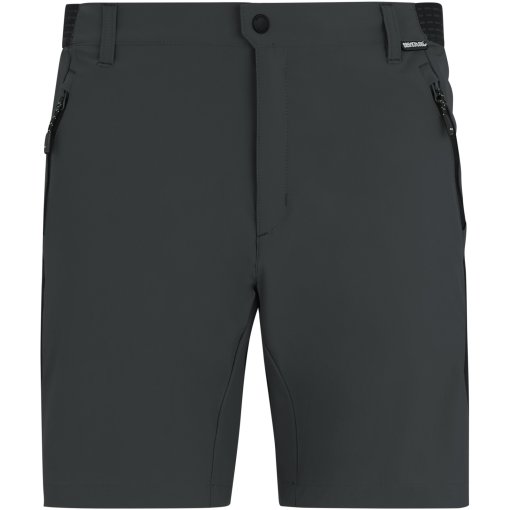 Kuva tuotteesta Regatta Mountain Shortsit Miehet - Ash/Black 61G