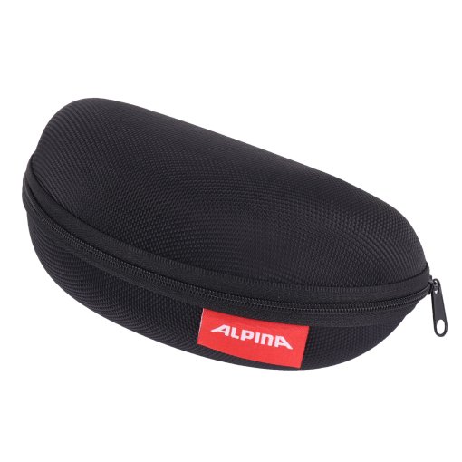 Foto de Alpina Case Estuche de Gafas - negro (grande)