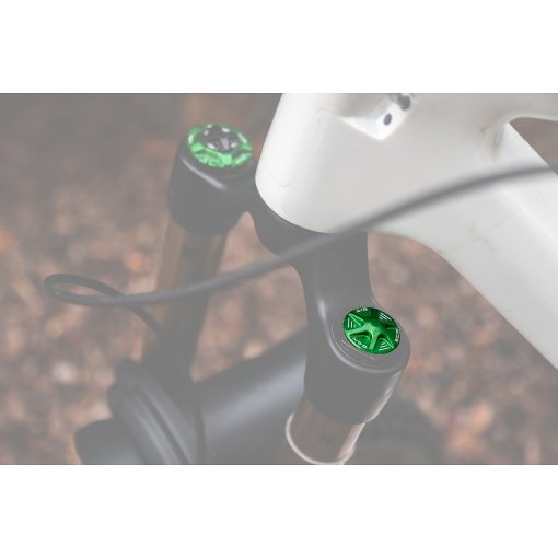 Photo produit de OAK Components Capuchon de valve AIR pour fourches à suspension - vert