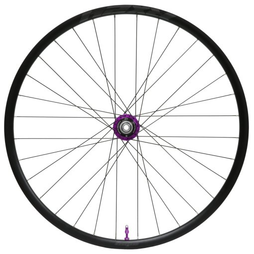 Immagine prodotto da Hope Ruota Posteriore - RX24 - Pro 5 - 28&quot; | Clincher | 28 Fori | Centerlock - 12x142mm - Micro Spline | lilla