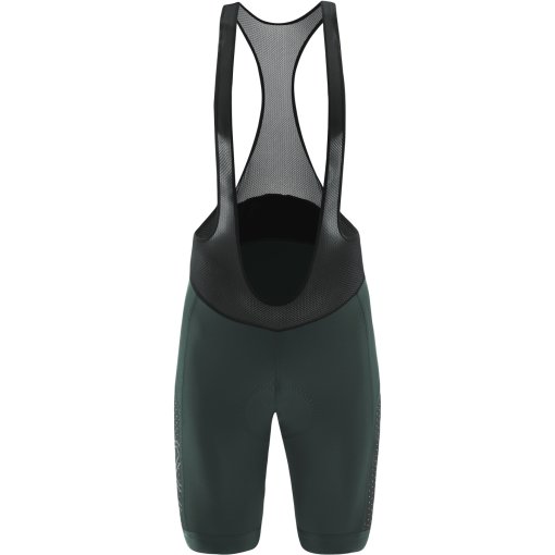 Picture of Löffler Winner 4 Bike Bibshorts Men - forest 365