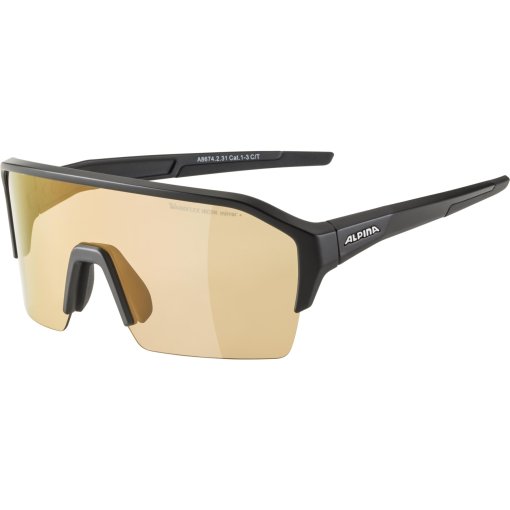 Foto de Alpina Gafas - Ram HR Q-LITE - black matt/Varioflex silver mirror