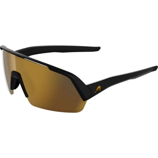 Foto de Alpina Turbo HR Gafas - black matt/gold mirror