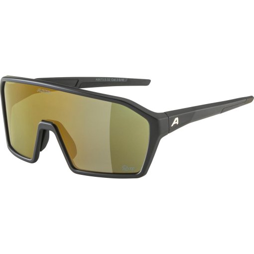 Foto de Alpina Gafas - Ram Q-Lite - black matt/mirror gold