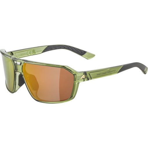 Foto de Alpina Gafas - Swift - green-transparent gloss/gold mirror