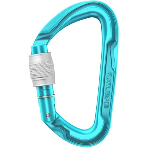 Immagine prodotto da Edelrid Moschettone - Pure Screw III - icemint