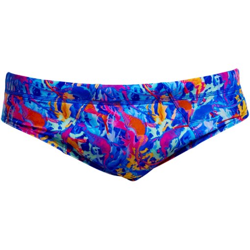 Picture of Funky Trunks Seamed Eco Swim Briefs Men - Dragons Den
