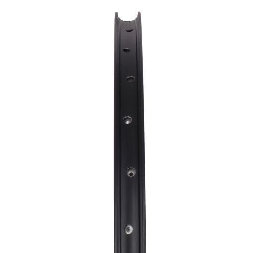 Ryde Edge M 30 - 29 Inch Disc Clincher Rim - black | BIKE24