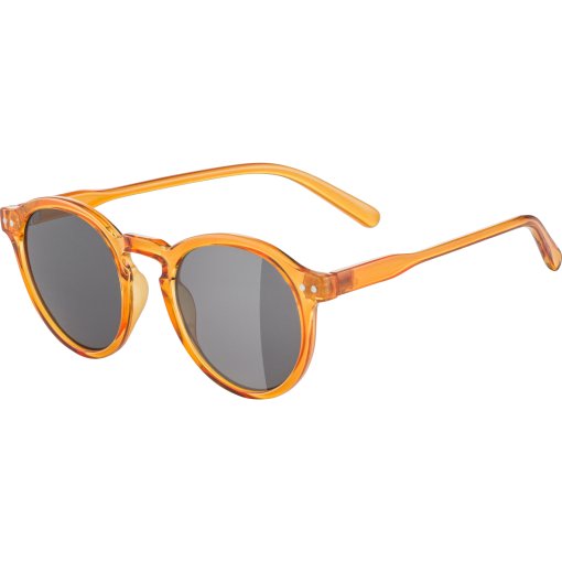 Foto de Alpina Gafas - Sneek - burrow-transparent gloss/blue