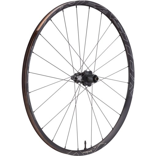 Immagine prodotto da Easton EA90 AX Disc Rear Wheel - Clincher - Centerlock - 12x142mm - Shimano HG