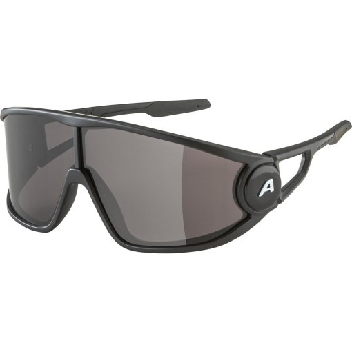 Foto de Alpina Gafas - Legend - black matt/black