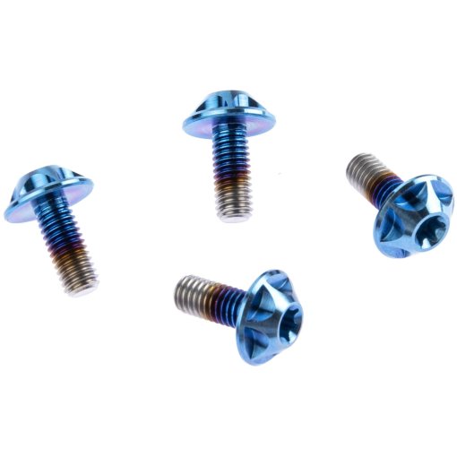 Immagine prodotto da SILCA Viti Portabottiglie in Titanio - M5x12 - 4 Pezzi - aqua