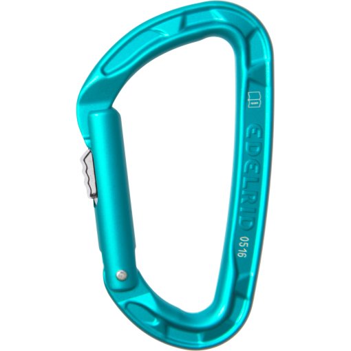 Immagine prodotto da Edelrid Pure Slider II Moschettone - icemint