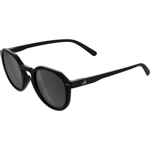 Foto de Alpina Sneek 2.0 Gafas - black matt/black
