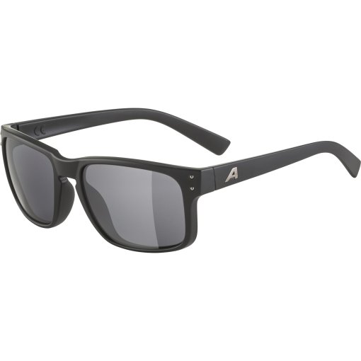 Foto de Alpina Gafas - Kosmic - black matt/black