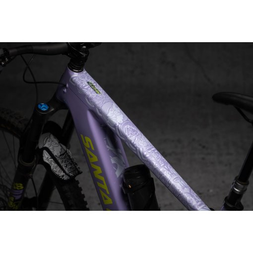 Immagine prodotto da DYEDBRO Pellicola Protezione del Telaio Viking Bicicletta Elettrica - bianco opaco