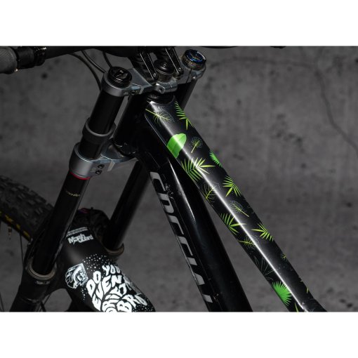 Foto de DYEDBRO Película Protección del Cuadro Tere V2 MTB Signature Series - mate