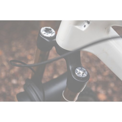 Photo produit de OAK Components Capuchon de valve AIR pour fourches à suspension - raw