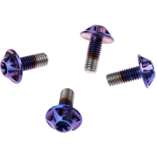 Immagine prodotto da SILCA Viti Portabottiglie in Titanio - M5x12 - 4 Pezzi - royal purple