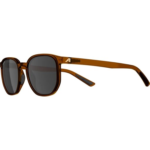 Photo produit de Alpina Dimont Lunettes - brown transparent matt/brown