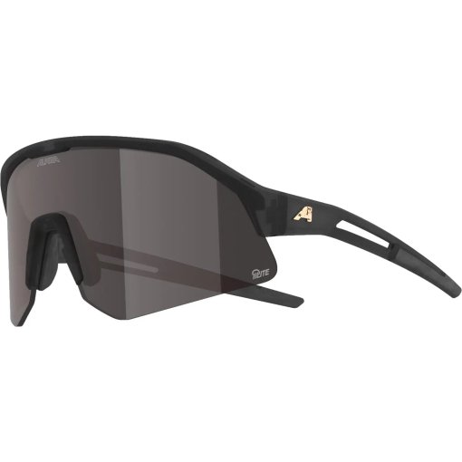 Photo produit de Alpina Sonic HR M Q-Lite Lunettes - grey-translucent gloss/amber