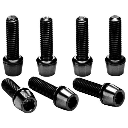 Immagine prodotto da Ritchey Steel Bolts M4x15mm for WCS C260/Monocurve - 7 Pieces - PRD16964