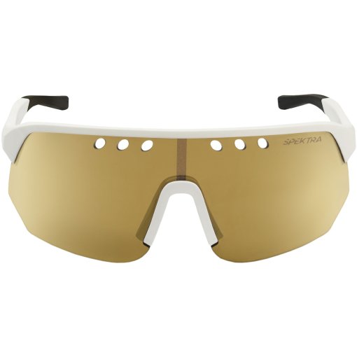 Immagine prodotto da Assos Occhiali - DONZI - oro