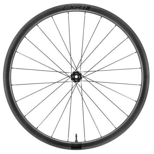 Giant SLR 2 Tubeless Carbon Disc 36 Front Wheel - Clincher