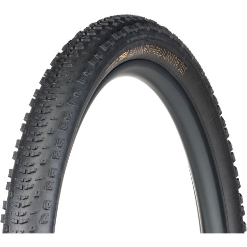 Productfoto van Bontrager Sainte-Anne RSL XR TLR MTB vouwband - 29x2.4&quot;