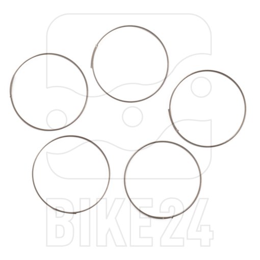 Immagine prodotto da Fulcrum Pawl Spring for MTB Freewheels (5 Pcs.) - 5-RM0-005