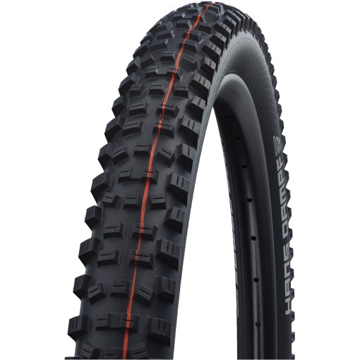 Schwalbe Dirty Dan Folding Tire - Evolution | Addix Ultra