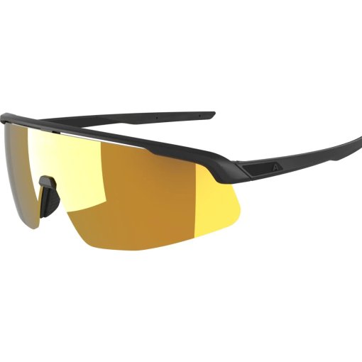 Foto de Alpina Turbo Pro S Q Gafas - black matt/gold mirror