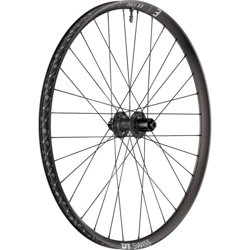Picture of DT Swiss EX 1700 CLASSIC Rear Wheel - 29&quot; | 6-Bolt | 12x157mm Super Boost