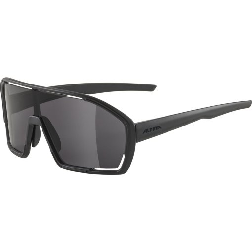 Foto de Alpina Gafas - Bonfire - all black matt/black